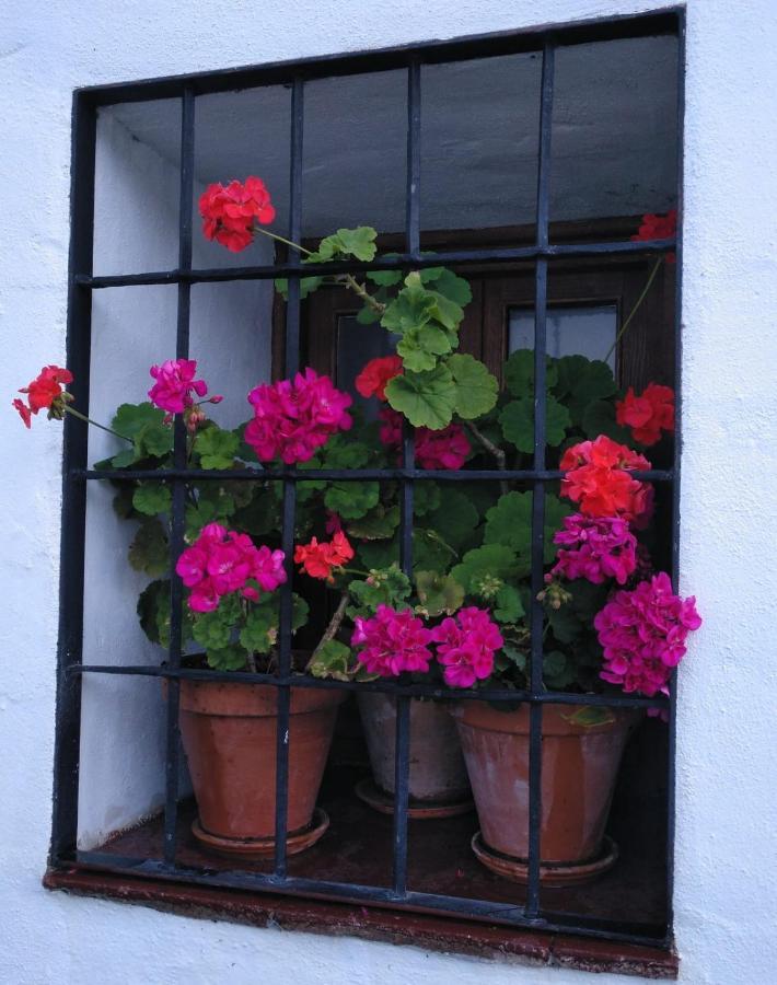 Casa Rural En Grazalema Exterior photo